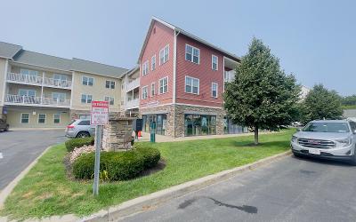 9 Hampstead Place, Suite 101, Julie & Co. Realty