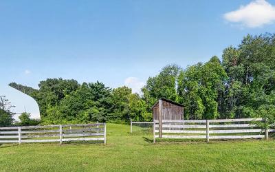 68 Rockwell Road, Julie & Co. Realty