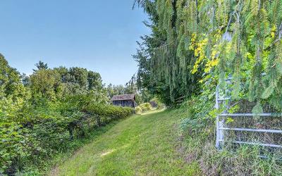 68 Rockwell Road, Julie & Co. Realty