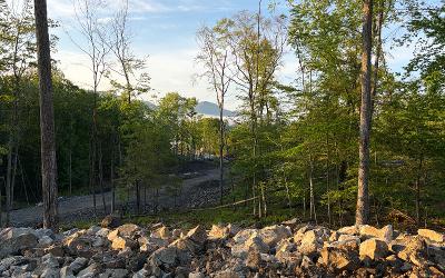 62 Pine Hill Road, Julie & Co. Realty