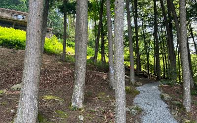 24 Whits End Way, Julie & Co. Realty