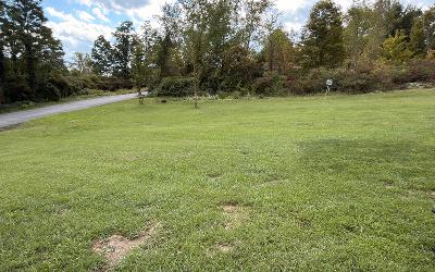 93 Dresden Road, Julie & Co. Realty