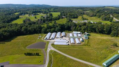 22 Meadowview Drive, Julie & Co. Realty