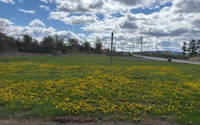 1168 NYS Route 29, Julie & Co. Realty