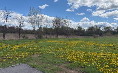 1168 NYS Route 29, Julie & Co. Realty