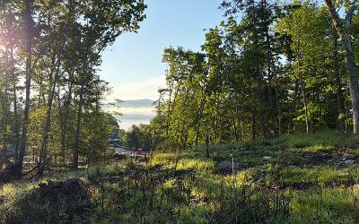 33 Pine Hill Road, Julie & Co. Realty