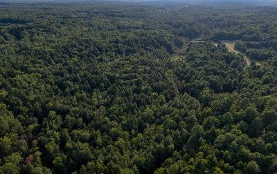 L53 Potter Hollow Road, Julie & Co. Realty