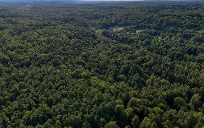 L53 Potter Hollow Road, Julie & Co. Realty