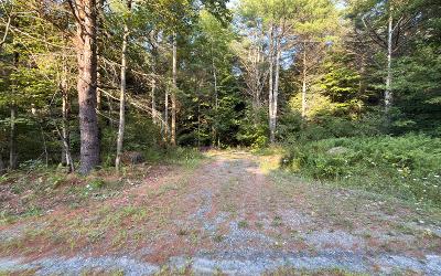 L53 Potter Hollow Road, Julie & Co. Realty