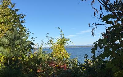 61 Mullen Bay Lane, Julie & Co. Realty!