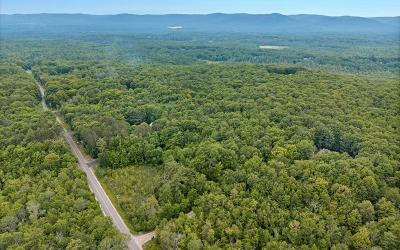 50 Lincoln Mountain Road, Julie & Co. Realty