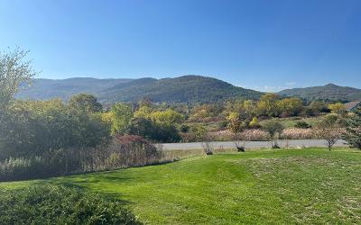 945 NYS Route 9N, Julie & Co. Realty
