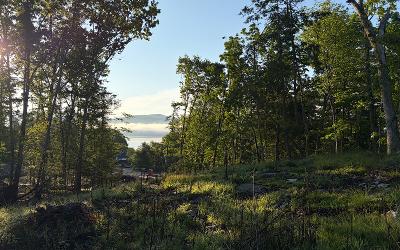 39 Pine Hill Road, Julie & Co. Realty