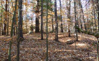 487 Antone Mountain Road, Julie & Co. Realty