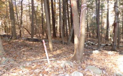 487 Antone Mountain Road, Julie & Co. Realty