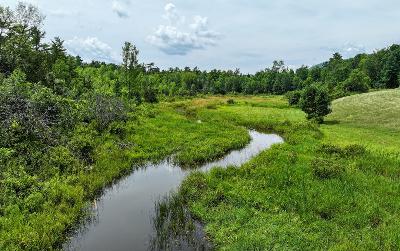 128 Craig Road, Julie & Co. Realty