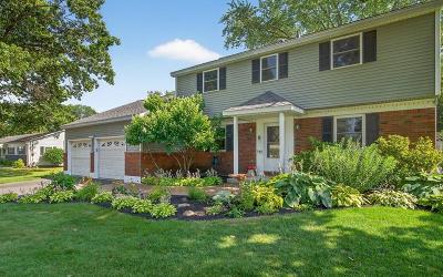 9 Eldorado Drive, Julie & Co. Realty