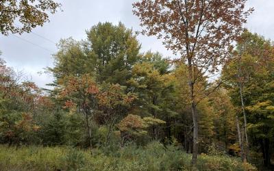 L2 Windy Hill Road, Julie & Co. Realty