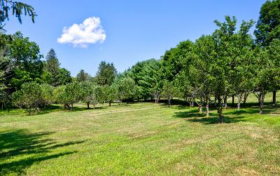 250 Bashford Road, Julie & Co. Realty