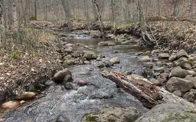182 Furnace Road, Julie & Co. Realty