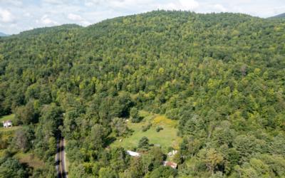 521 Pilfershire Road, Julie & Co. Realty