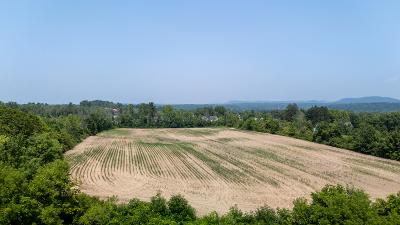 117 County Road 38, Julie & Co. Realty