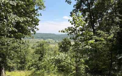 100 Liddle Harris Road, Julie & Co. Realty