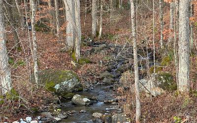 1 Mosier Road, Julie & Co. Realty