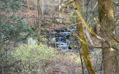 1 Mosier Road, Julie & Co. Realty