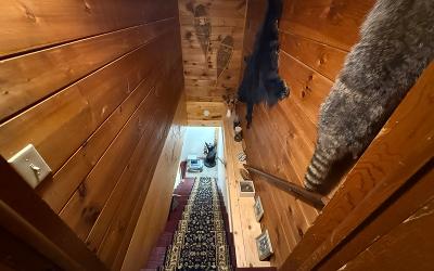 9 Panther Mountain Road, Julie & Co. Realty
