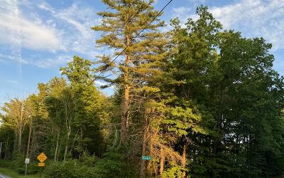 287 Edie Road, Julie & Co. Realty