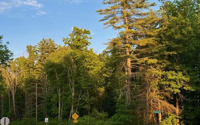 287 Edie Road, Julie & Co. Realty
