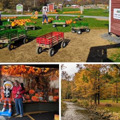 pumpkin patch, picnic table in fall by stream, dad with kid in front of G. Willikers toy store in saratoga with fall displays
