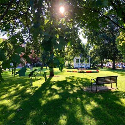 Glens Falls NY Events, Shopping, Restaurants & Other Things To Do