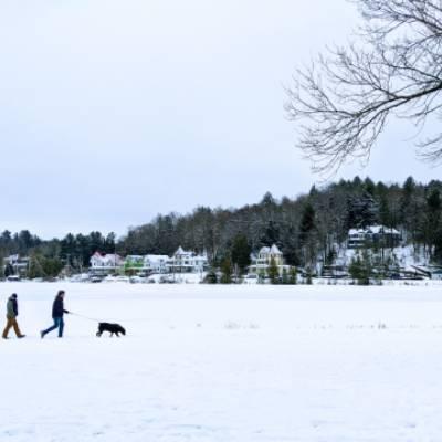 people walking dogs in winter