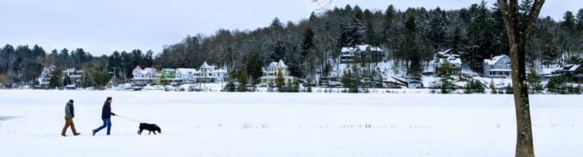 people walking dogs in winter