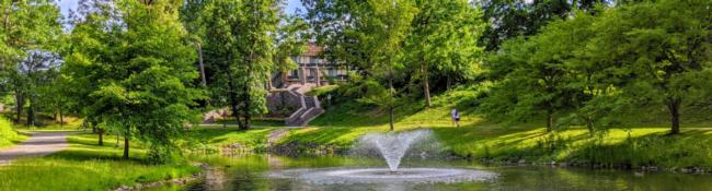 view of fountain in pond at a park