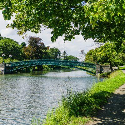 bridge in a park
