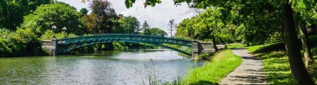 bridge in a park