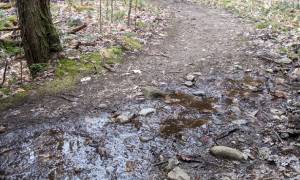 muddy trail