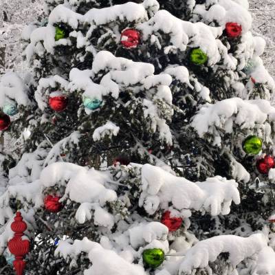 outdoor christmas tree and other holiday items