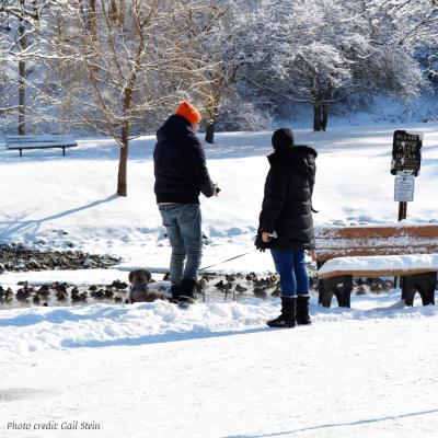 a couple in a park in winter looking at ducks