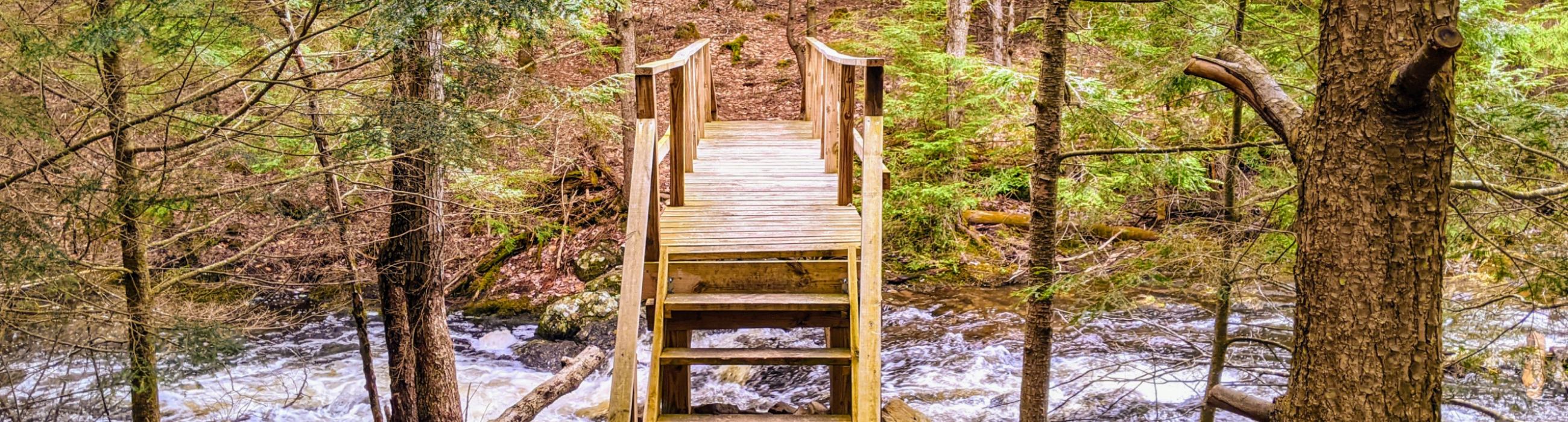 2023 Adirondack Spring Guide: Discover Outdoor Fun, Top Activities & Mor