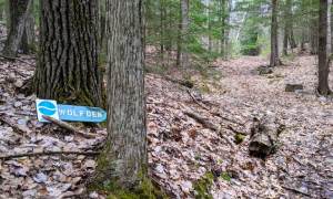 hiking trail in woods, sign that says wolf den
