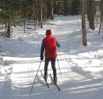 cross country skier on a trail