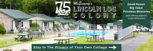 Lincoln Log Colony ad reading ‘Stay in the Privacy of Your Own Cottage