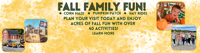 fall fun at ellms family farm with corn maze, pumpkin patch, hay rides