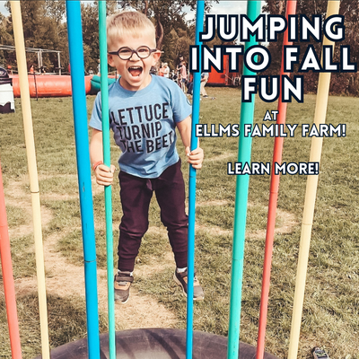 fall fun at ellms family farm with corn maze, pumpkin patch, hay rides