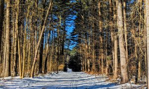 Upstate New York: Adirondack mountains(2048x771) • /r