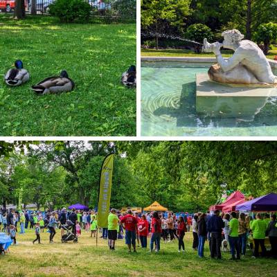 cantina kids fun run, congress park ducks, and statue spraying water